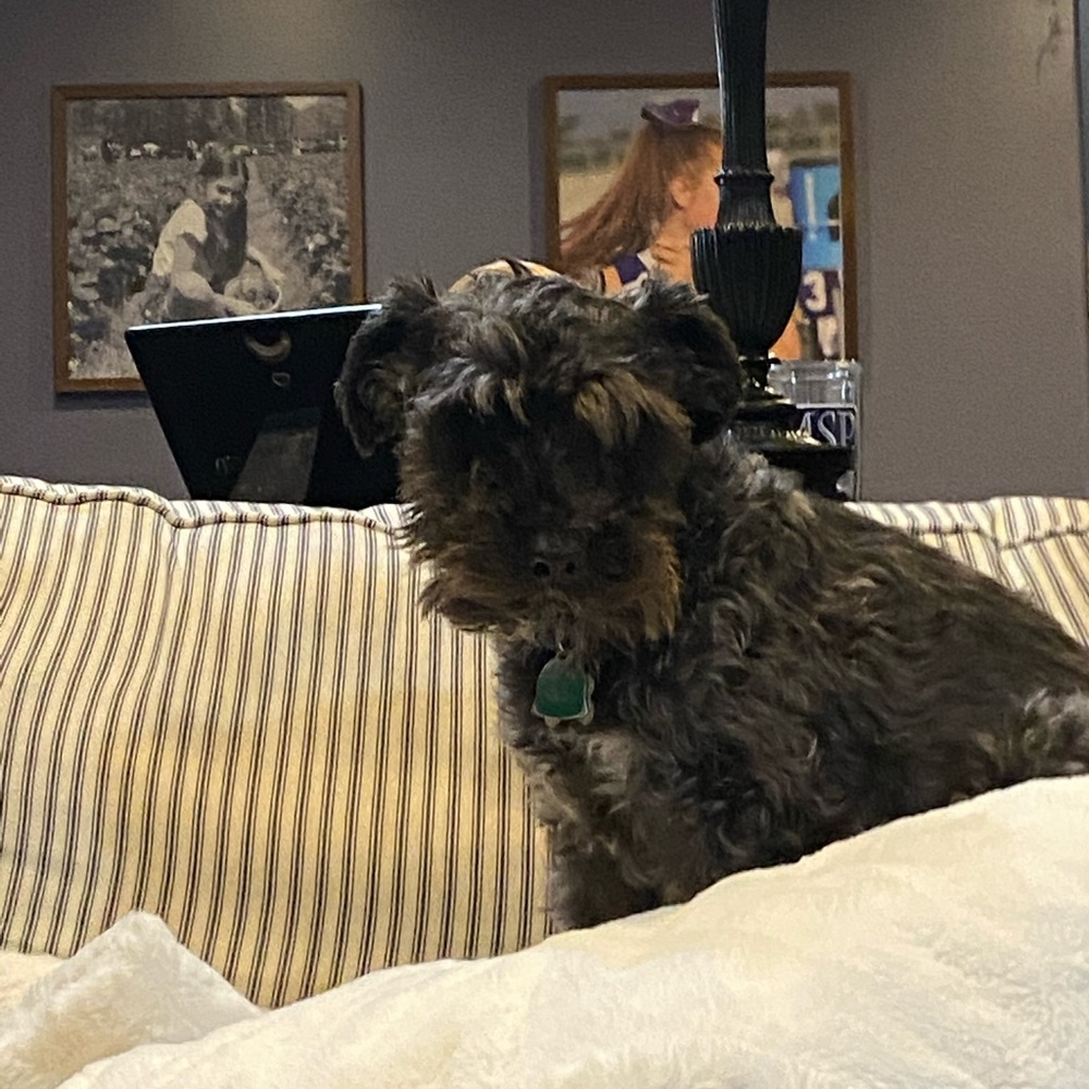 Meet your Posher, Mary kate